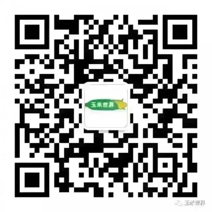 南北港口玉米價格暫穩(wěn),短期港存供給支撐價格