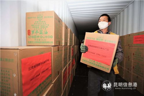 云南開行農(nóng)產(chǎn)品集裝箱專列對口馳援湖北咸寧