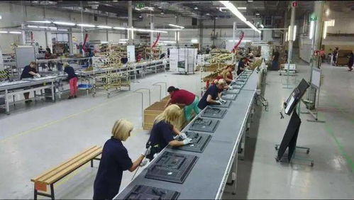 成都青白江 以開放產(chǎn)業(yè)為核心，推動(dòng)集裝箱購(gòu)銷高質(zhì)量發(fā)展